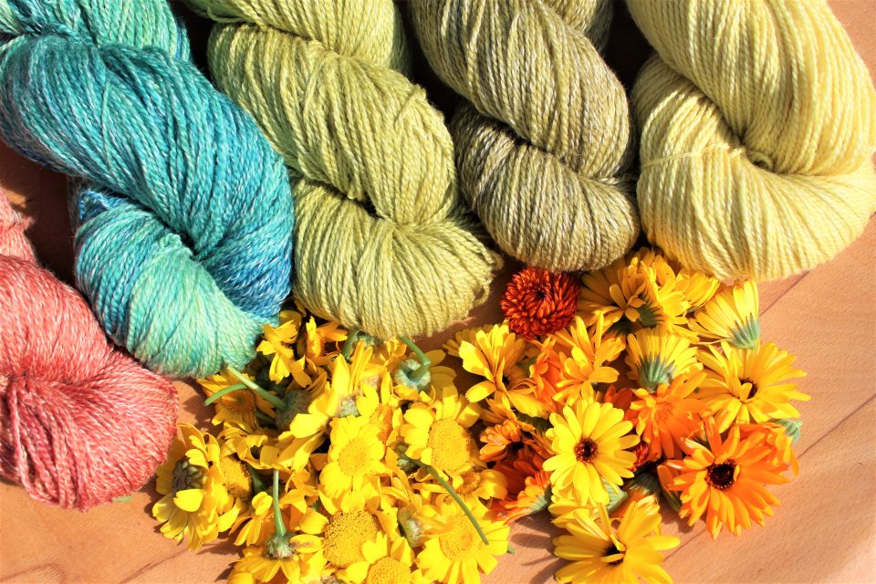 Natural Dyes - preparing